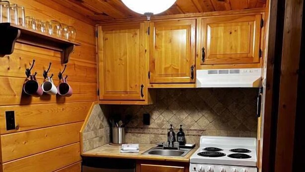 A compact kitchen with wooden cabinets, a stainless steel dishwasher, a white stove, and a tiled backsplash.
