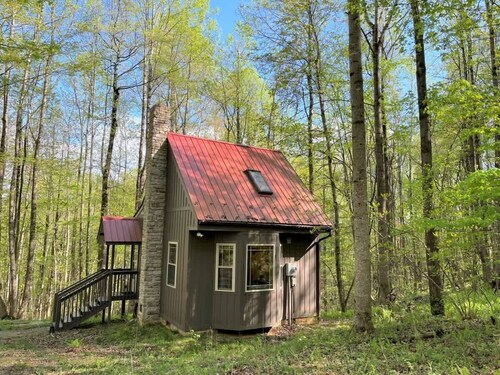 Wildcat Forest by Buffalo Mountain Getaway