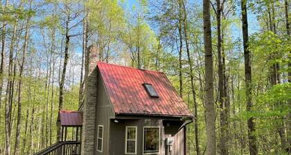 Wildcat Forest by Buffalo Mountain Getaway