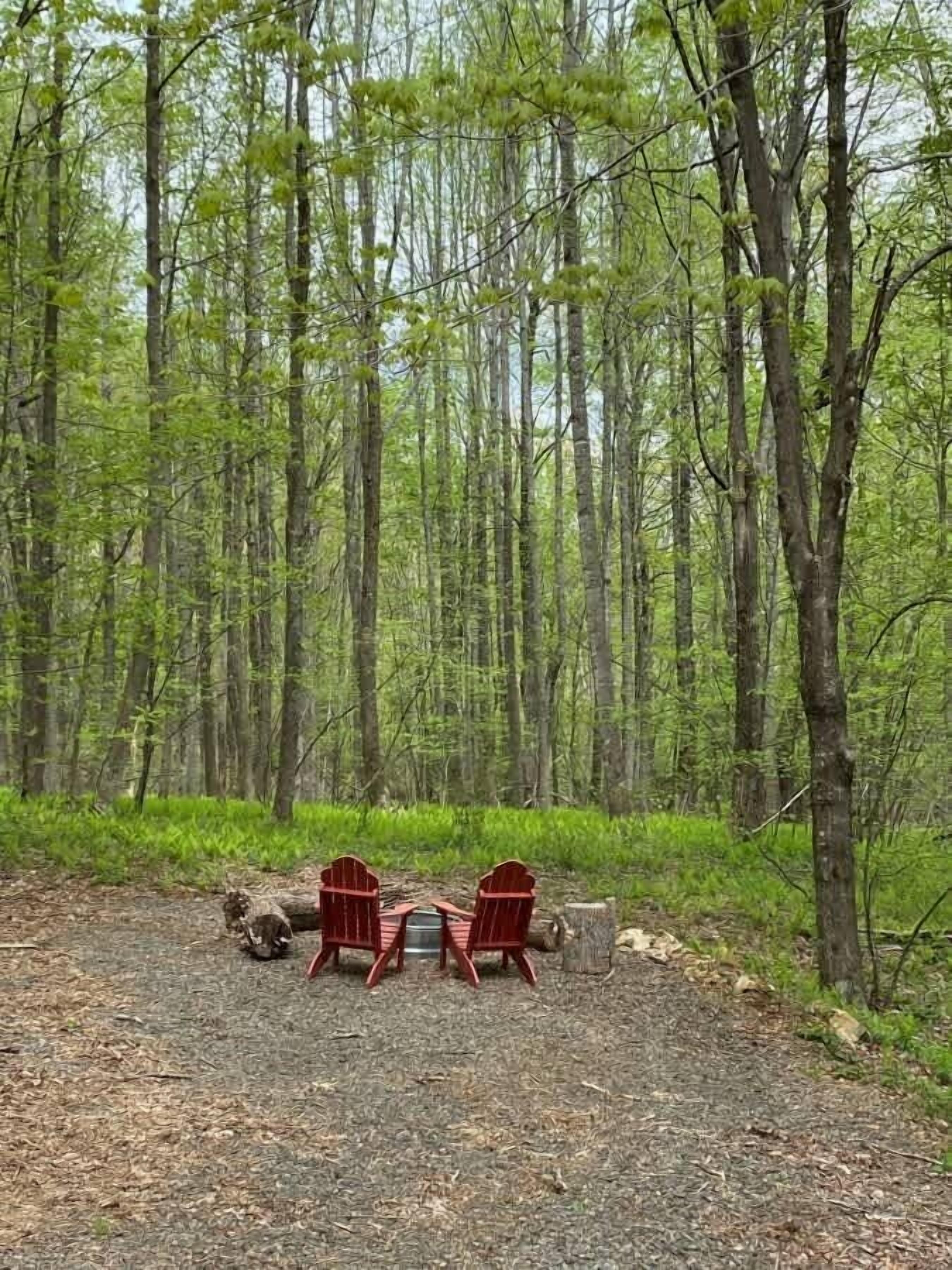 Bosque con dos sillas Adirondack rojas y una mesa de picnic.