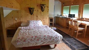 Basic Apartment | 1 bedroom, blackout drapes, free WiFi, bed sheets