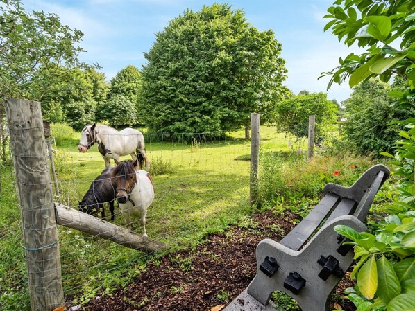 A fenced outdoor area with two horses, a wooden post, and a metal bench. - "Maileen" - 2.1km to the fjord by Interhome (Otterup)