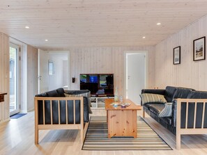 تلفزيون، مدفأة، مشغل دي في دي