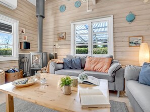 Fernseher, Kamin, DVD-Player