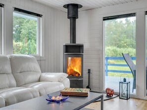 TV, fireplace, DVD player