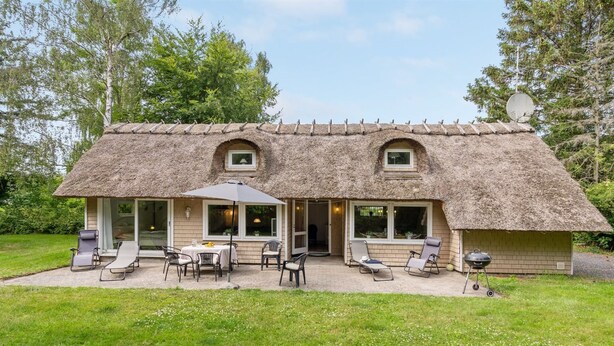 Una casa con techo de paja, un patio, mobiliario exterior y una barbacoa.