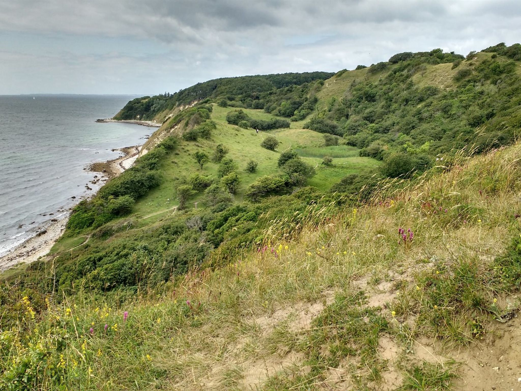 A coastal landscape with a grassy hillside and a beach.
