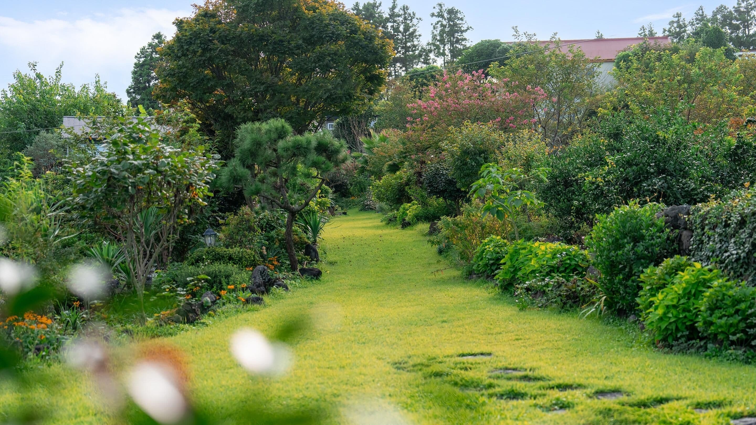 Rom – basic, 1 soverom (Doldam) | 1 soverom og wi-fi (inkludert)