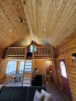 Televisión de pantalla plana, chimenea, reproductor de DVD