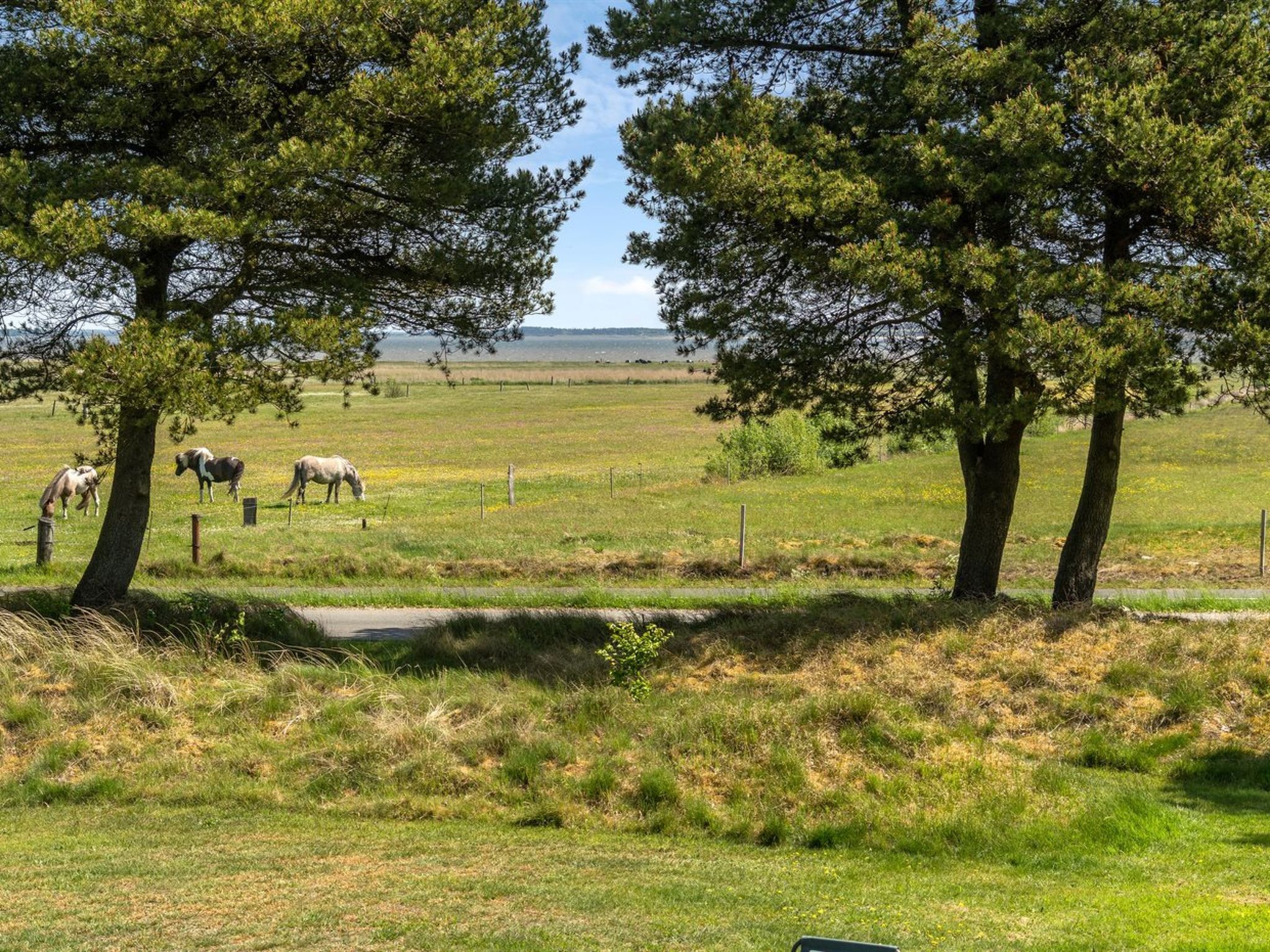 A rural landscape with horses grazing, trees, and a fence.