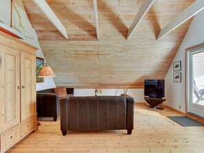 TV, fireplace, DVD player