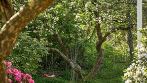 Un jardin luxuriant avec une balançoire, un arbre aux fleurs roses et une pelouse.