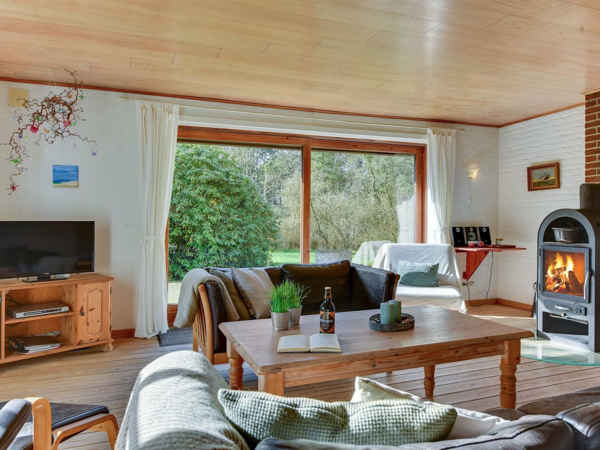 TV, fireplace, DVD player