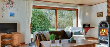 TV, fireplace, DVD player