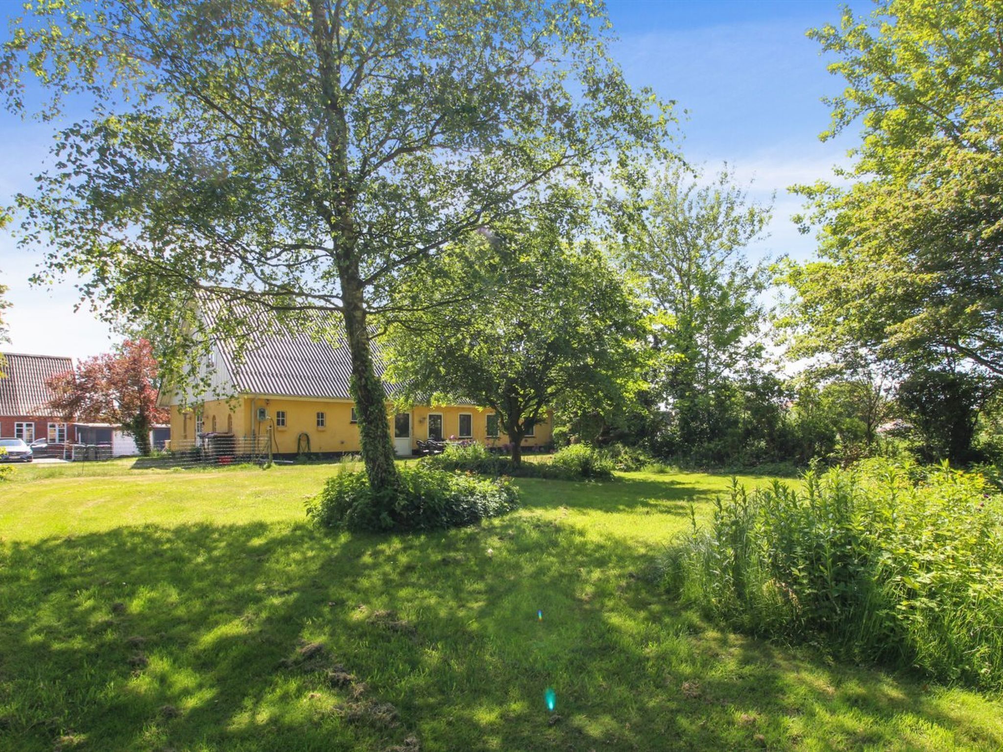 Eksteriør