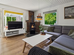 Fernseher, Kamin