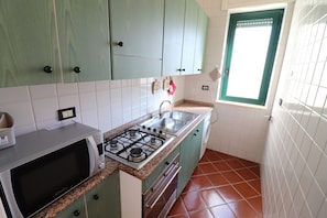 Une cuisine avec des meubles de rangement verts, un four à micro-ondes, une cuisinière à gaz, un évier et une fenêtre.