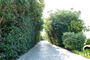 Property grounds - Kos Dream Beachwalk Apartment with Private Terrace, Balcony and Wi-Fi (???)