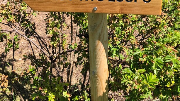 Un cartel de madera con la inscripción 'LES PTITS LOUPS', sobre un fondo de jardín con un edificio al fondo.