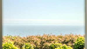 Vista de un paisaje costero con cielo despejado y mar en calma.