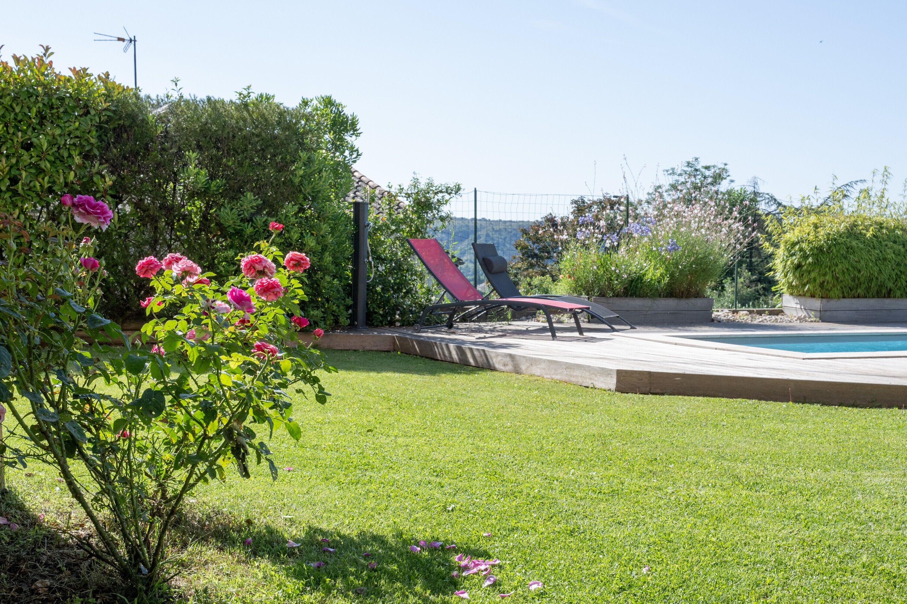 A backyard with a swimming pool, a lawn, and a chair.