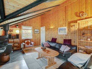 TV, fireplace, DVD player