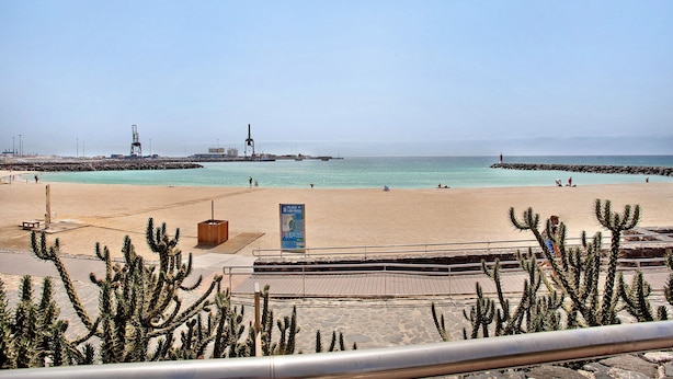 Ein Strand mit blauem Himmel, sandigem Ufer und Kakteen im Vordergrund.