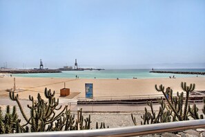 A beach with a clear sky, a sandy shore, and cacti in the foreground.