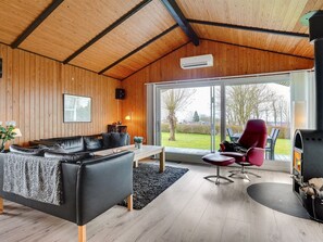 TV, fireplace, DVD player