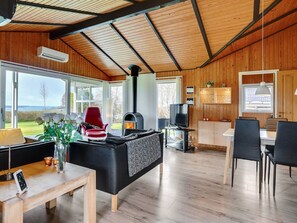 TV, fireplace, DVD player