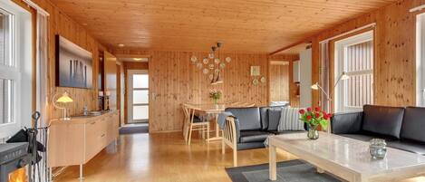 TV, fireplace, DVD player