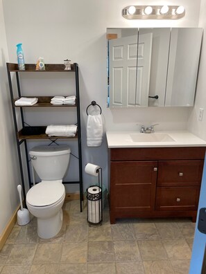 Hair dryer, towels, soap, shampoo