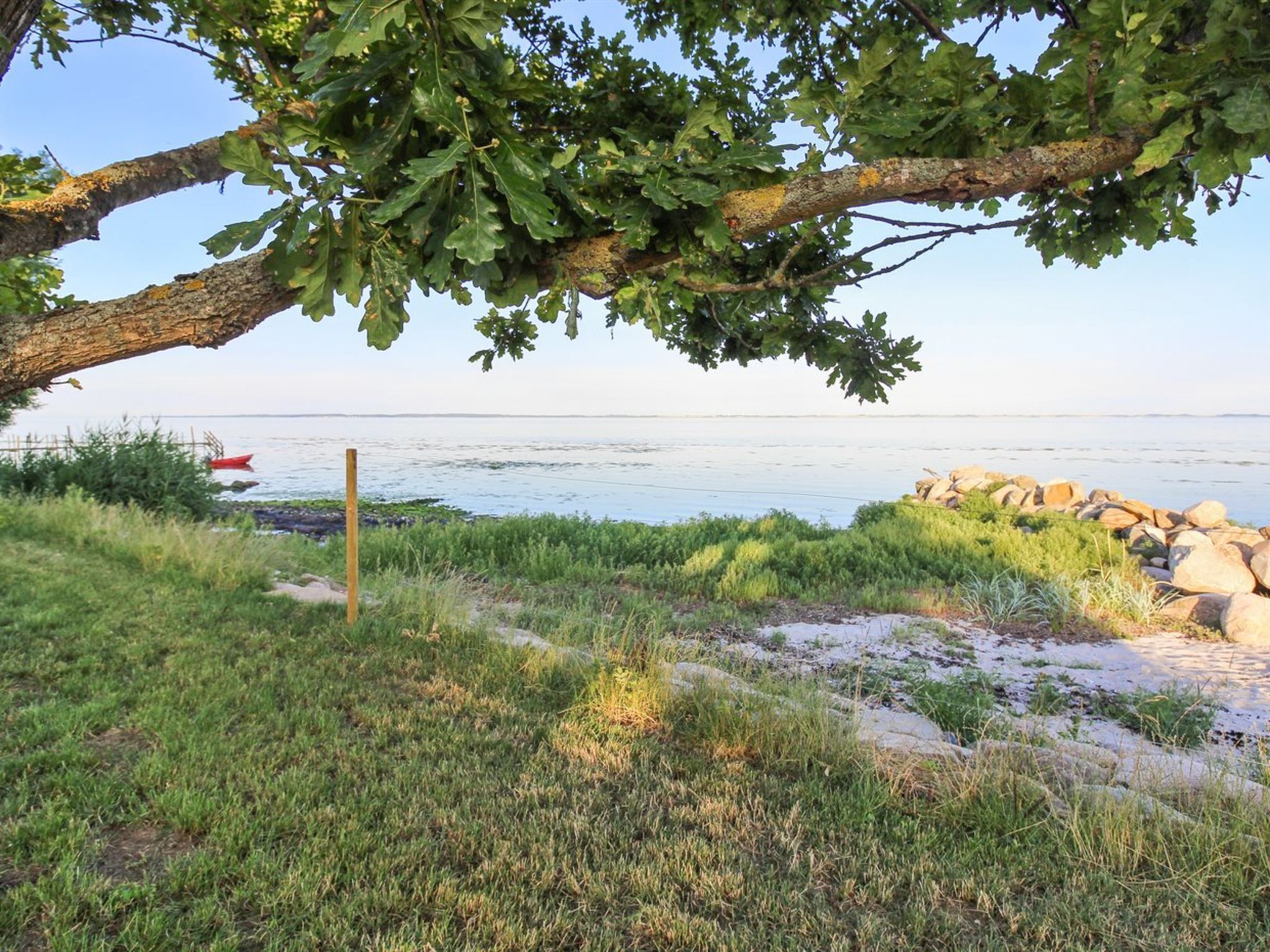 A coastal landscape with a tree branch overhanging, a sandy beach, and a calm sea.