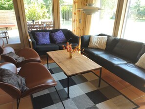 Télévision, cheminée, lecteur de DVD