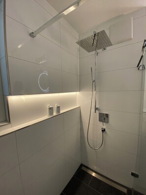 Shower, hair dryer, towels, soap
