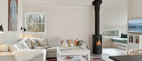 TV, fireplace, DVD player