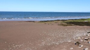 Beach - Harbourside Apartment (Whitehaven)