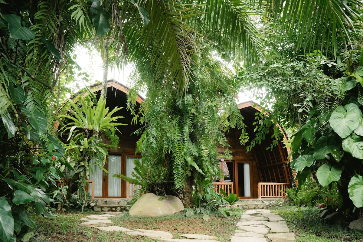 A rustic wooden house surrounded by lush greenery and a stone pathway.