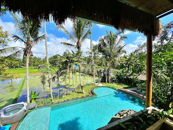 Pemandangan dari kamar