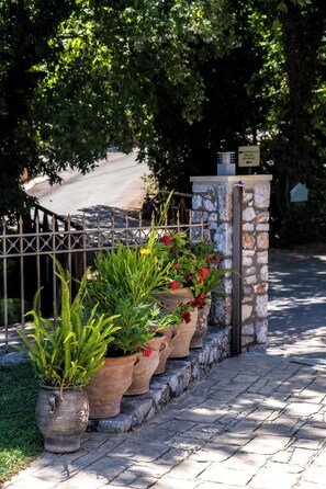 Property grounds - Villa Emily (Voukolies, Chania)