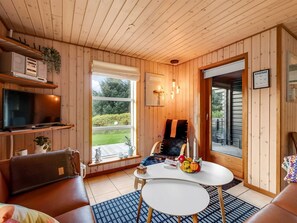 TV, caminetto, lettore DVD