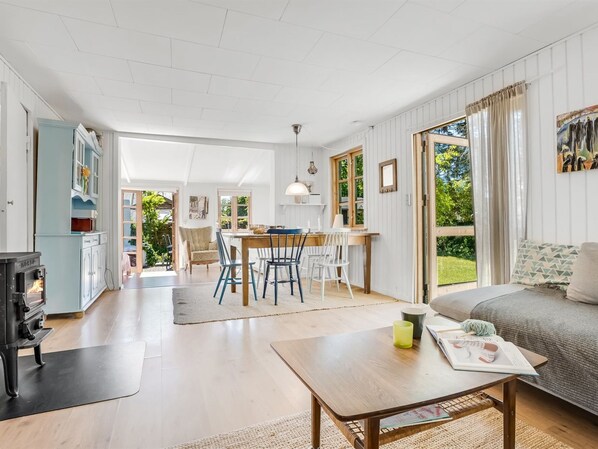 Fernseher, Kamin, DVD-Player