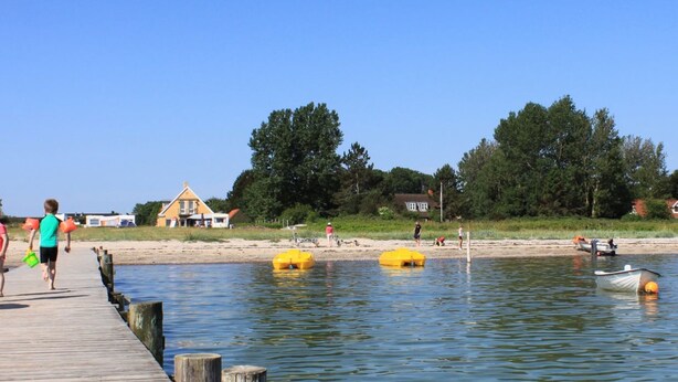 Een houten steiger die zich uitstrekt in kalm water, met gele pontons, omgeven door bomen en huizen.