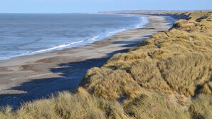 Un paysage côtier avec une plage de sable et des dunes herbeuses.