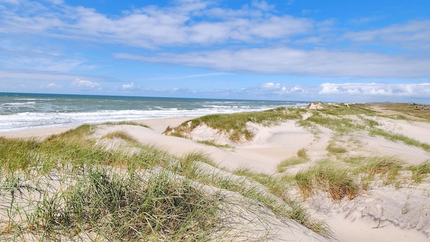 Ein Strand mit Dünen und Gras unter blauem Himmel.
