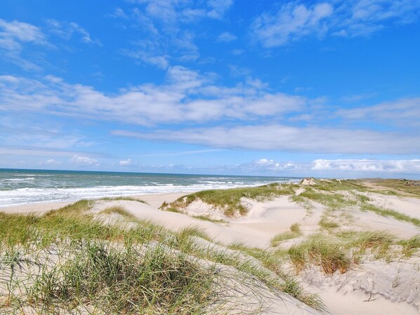 Beach - "Herfrith" - from the sea by Interhome (Ringkøbing)