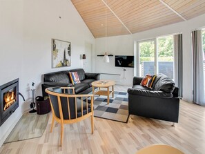 Tv, pejs, dvd-afspiller