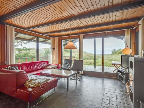 TV, fireplace, DVD player