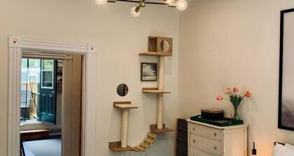 Pet-Friendly Space, King bed, Office
