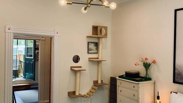 A bedroom with a bed, a dresser, a cat tree, a wall-mounted shelf, a hanging light fixture, and a door leading to another room. - Pet-Friendly Space, King bed, Office (Halifax)